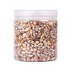 No Hole Spiral Shell Beads SSHEL-YW0001-01-2