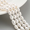 Natural Cultured Freshwater Pearl Beads Strands PEAR-P062-08L-1