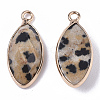 Natural Dalmatian Jasper Pendants G-T131-07F-2