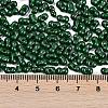 Baking Paint Glass Seed Beads X1-SEED-K010-A23-4