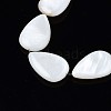 Natural Sea Shell Beads Strands SSHEL-Q296-43-3