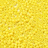 Baking Paint Glass Seed Beads SEED-H002-I-A502-3