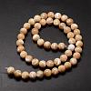 Natural Sea Shell Beads Strands SSHEL-K013-8mm-B-2