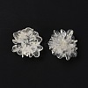 Transparent Resin Cabochons LS-RESI-G027-01A-4