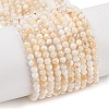 Natural Freshwater Shell Beads Strands SHEL-T011-02-4mm-1