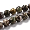 Round Natural Ocean Agate/Ocean Jasper Beads Strands G-L574-02C-1