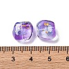 Baking Paint Transparent Glass Beads DGLA-C004-02C-3