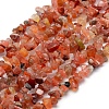 Natural Carnelian Beads Strands X-G-P332-04-1