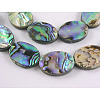 Natural Abalone Shell/Paua Shell Beads Strands X-SHS017-1