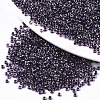 Glass Seed Beads X-SEED-S042-07A-02-1