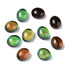 Glass Cabochons X-GLAA-R218-01-2