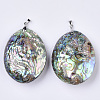 Double-Sided Natural Abalone Shell/Paua Shell Pendants SSHEL-N034-05-2