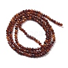 Natural Garnet Beads Strands G-H079-A01-01A-3