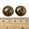 Natural Tiger Iron Cabochons G-C115-02A-34-3