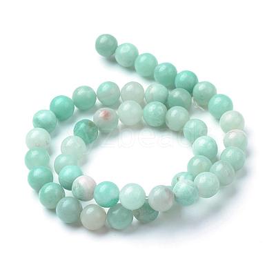 Natural Amazonite Beads Strands G-T055-10mm-17-1