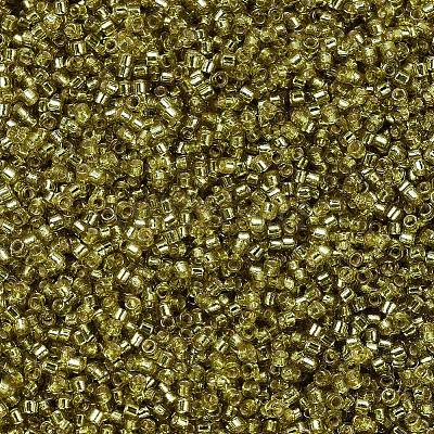 MIYUKI Delica Beads X-SEED-J020-DB2164-1