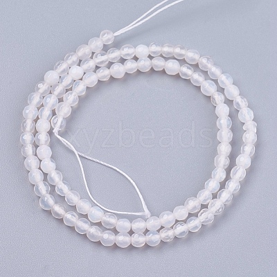 Natural White Agate Round Beads Strand X-G-L084-4mm-14-1