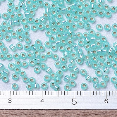 MIYUKI Round Rocailles Beads X-SEED-G007-RR0571-1