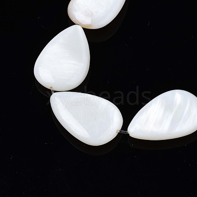Natural Sea Shell Beads Strands SSHEL-Q296-43-1