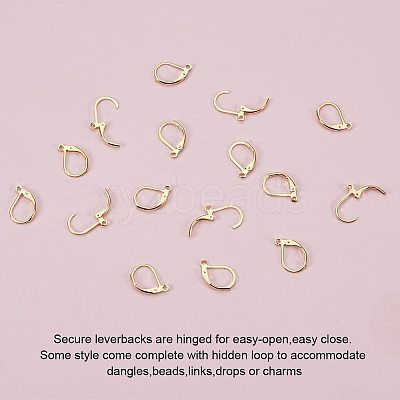 304 Stainless Steel Leverback Earring Findings STAS-PH0018-28G-1