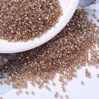 MIYUKI Delica Beads X-SEED-J020-DB1221-1