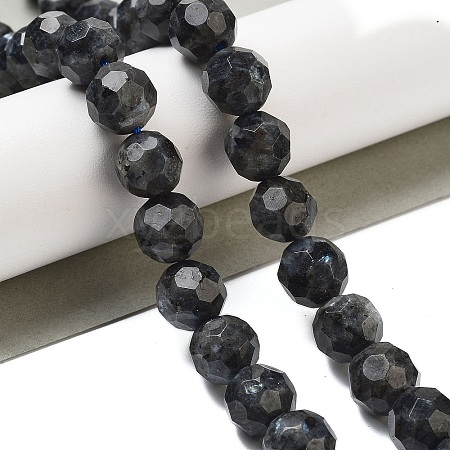 Natural Larvikite Beads Strands G-C150-B06-02-1