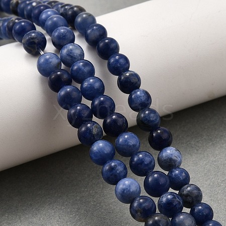 Natural Sodalite Round Bead Strands G-P072-27-8mm-1