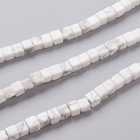 Natural Howlite Beads Strands G-F631-K11-1