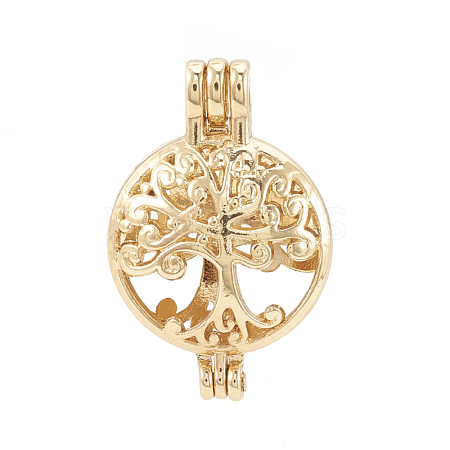 Alloy Locket Pendants PALLOY-S062-54G-1