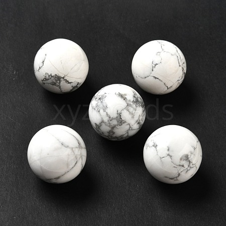 Natural Howlite Beads G-A206-02-27-1