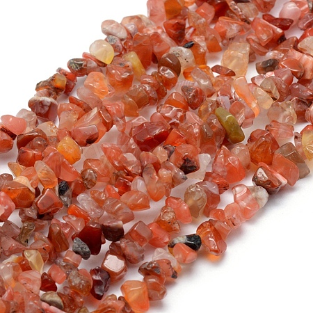 Natural Carnelian Beads Strands X-G-P332-04-1