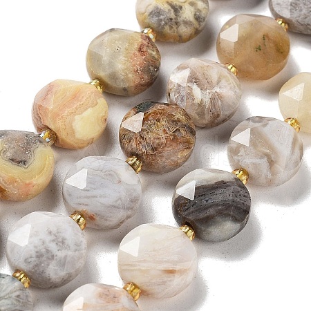 Natural Crazy Lace Agate Beads Strands G-NH0004-032-1