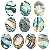 BENECREAT 10Pcs Natural Paua Shell Cabochons FIND-BC0005-55-1