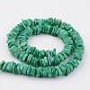 Natural Shell Bead Strands BSHE-P021-08-2