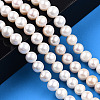 Natural Cultured Freshwater Pearl Beads Strands PEAR-N016-07A-2