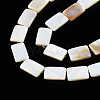 Natural Freshwater Shell Beads Strands SHEL-Q024-013-3