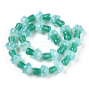 Handmade Lampwork Beads Strands X-LAMP-N024-09F-3