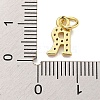 Initial Letter Brass with Cubic Zirconia Charms KK-Q814-26R-G-3