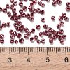 Transparent Colours Glass Seed Beads SEED-H004-01D-3