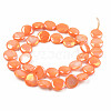 Electroplate Natural Freshwater Shell Beads Strands SHEL-T017-10-4