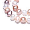 Natural Cultured Freshwater Pearl Beads Strands PEAR-T003-10-4