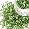 Plated Glass Bugle Beads SEED-S046-01B-49A-1