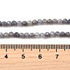 Natural Tanzanite Beads Strands G-S387-A01-3mm-5