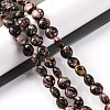 Natural Rhodonite Beads Strands G-T047-A19-01-2