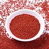 MIYUKI Delica Beads SEED-X0054-DB0795-2