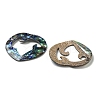 Natural Paua Shell Pendants Geometric Charms SSHEL-N038-01B-2