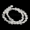 Natural Quartz Crystal Beads Strands G-B022-21B-3