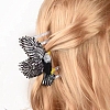 Acrylic Claw Hair Clips PW-WGCEFFF-01-2