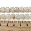 Natural Rainbow Moonstone Beads Strands G-P544-E06-01-5