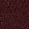 MIYUKI Round Rocailles Beads SEED-JP0008-RR2410-3